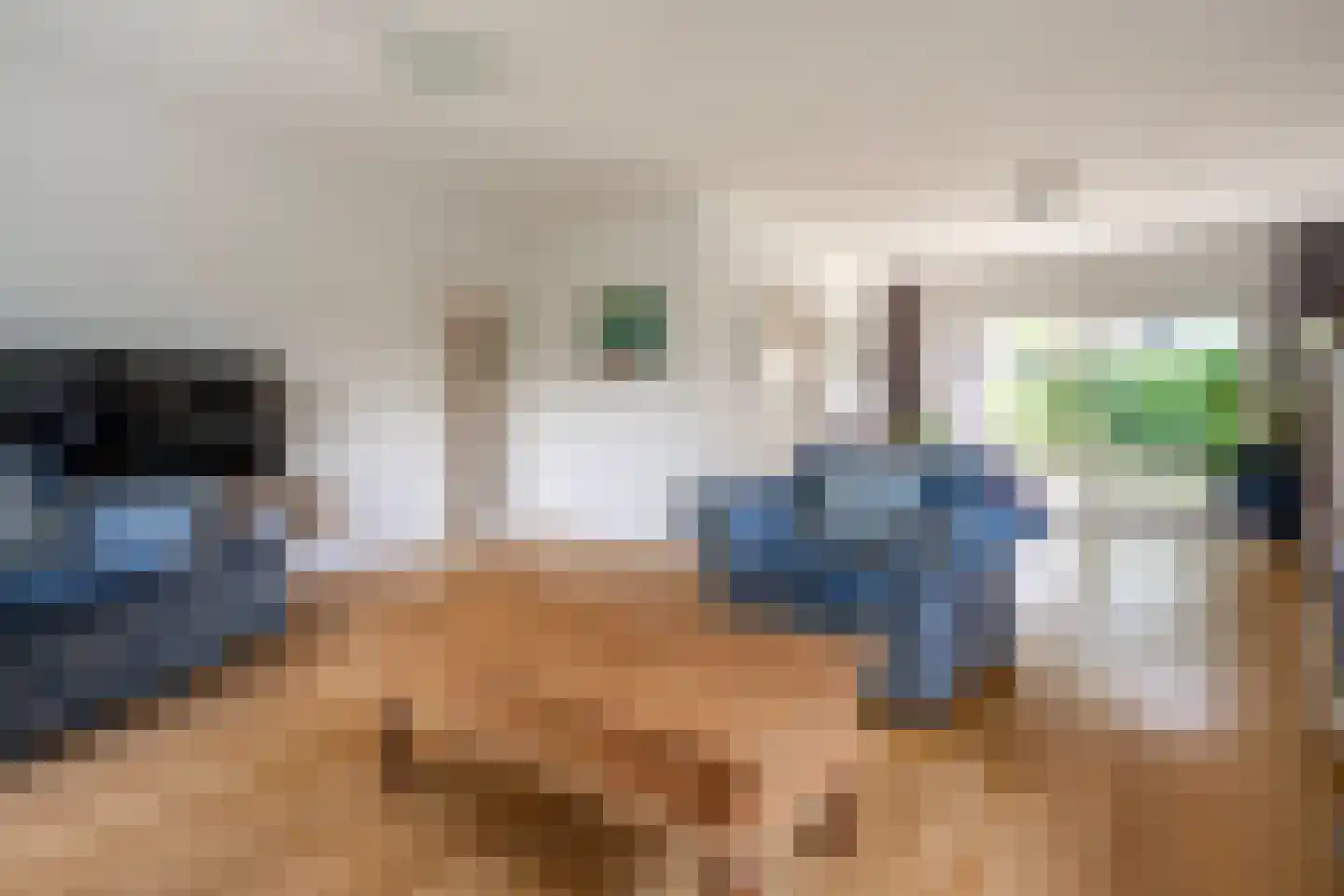 J.A. Rädeckerweg 2 Schoorl thumbnail 5