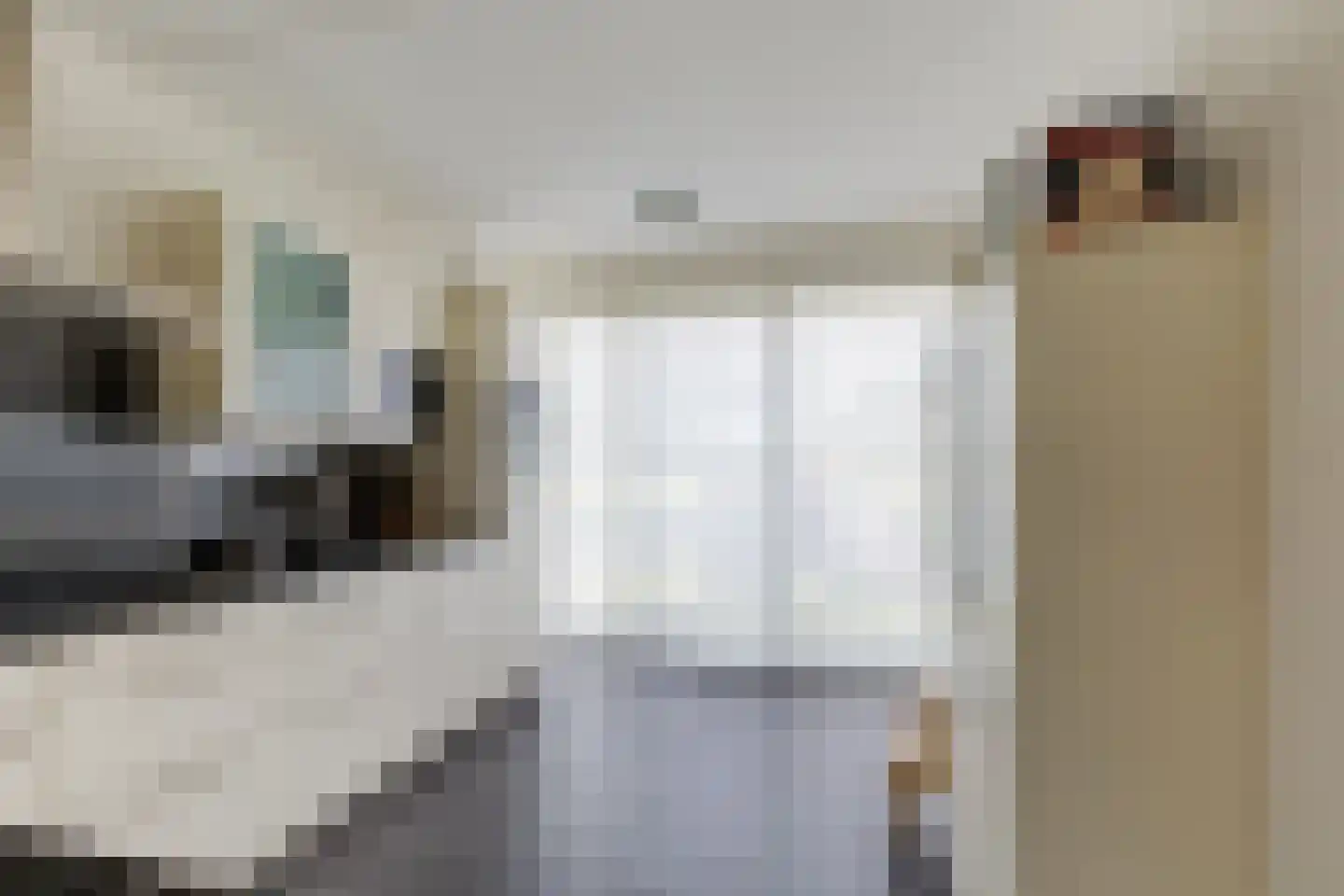 J.A. Rädeckerweg 61 Schoorl thumbnail 10