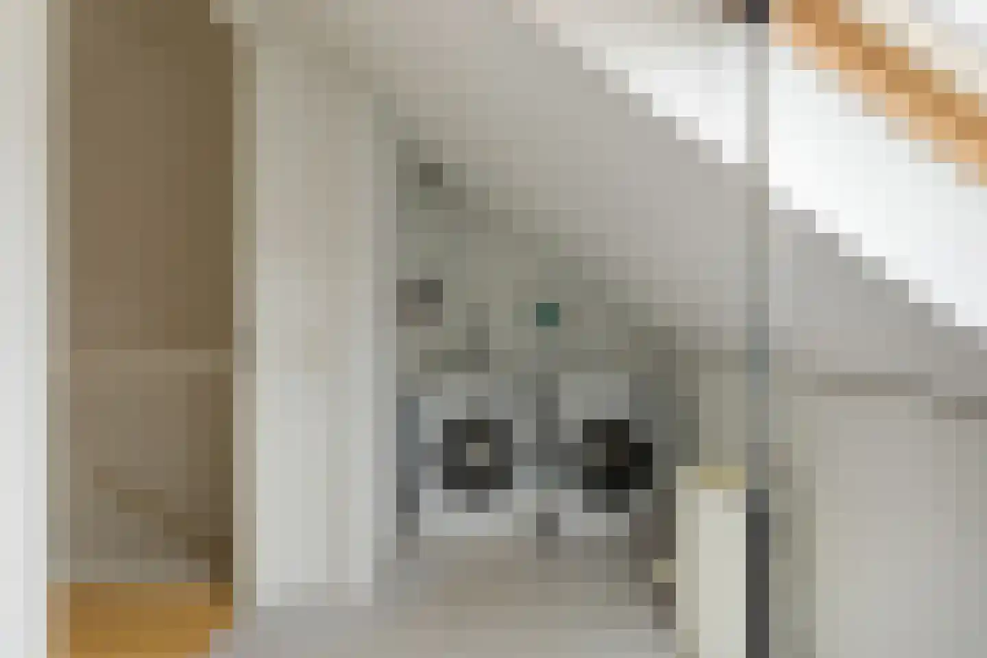 J.A. Rädeckerweg 61 Schoorl thumbnail 23
