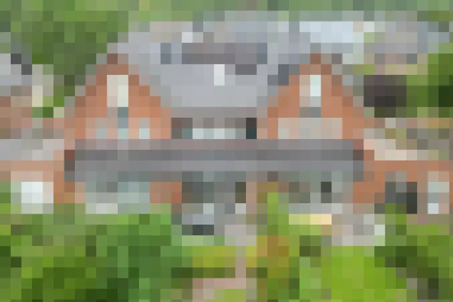 J.A. Rädeckerweg 61 Schoorl thumbnail 26