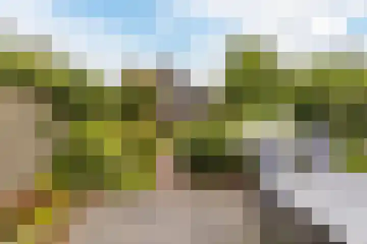 J.A. Rädeckerweg 61 Schoorl thumbnail 27
