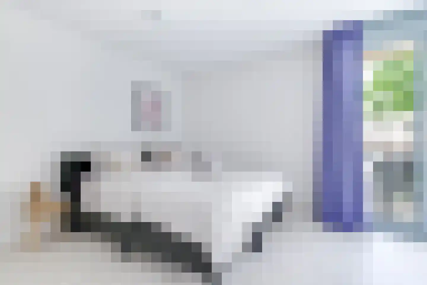 J.A. Rädeckerweg 87 Schoorl thumbnail 26