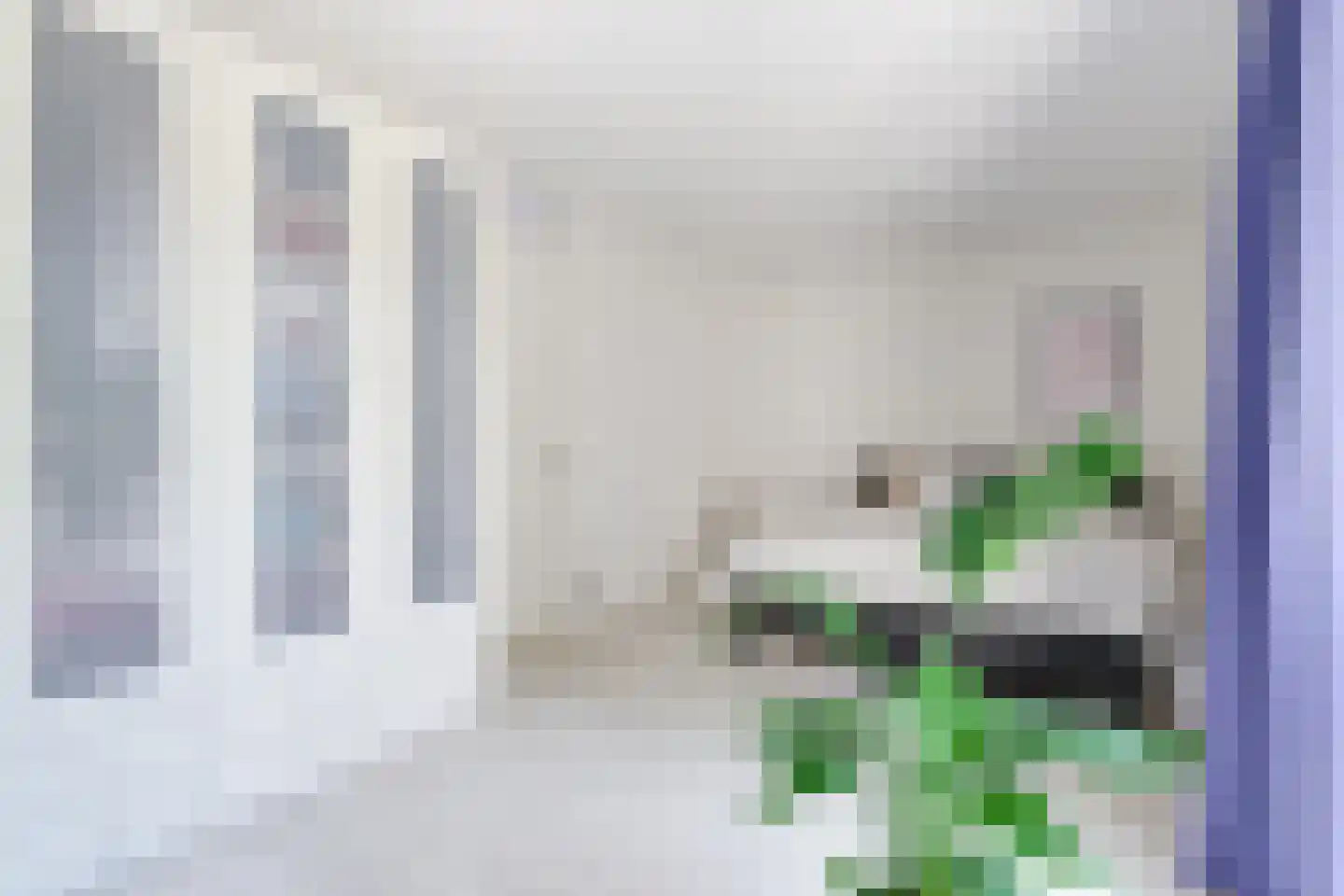 J.A. Rädeckerweg 87 Schoorl thumbnail 27