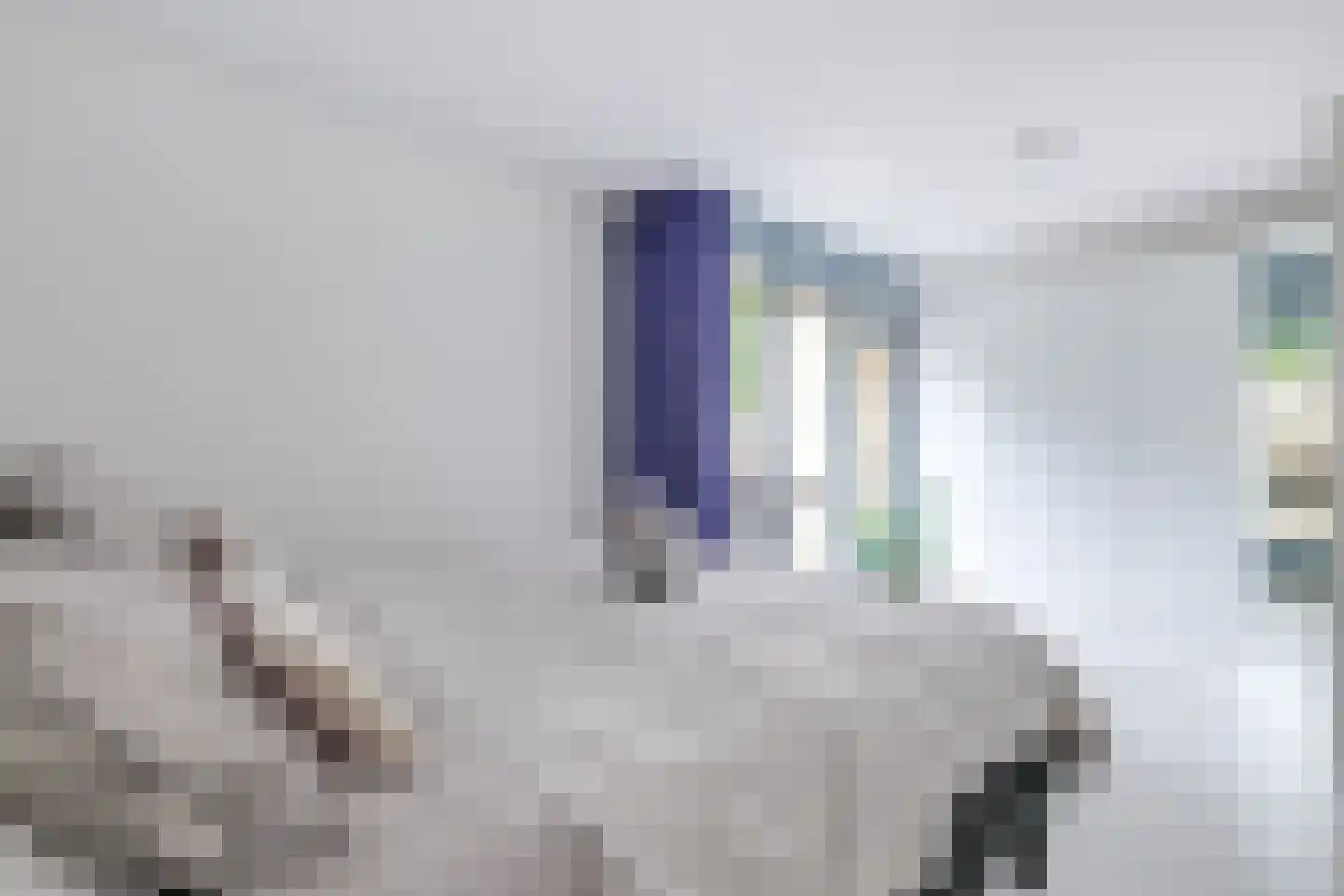 J.A. Rädeckerweg 87 Schoorl thumbnail 28