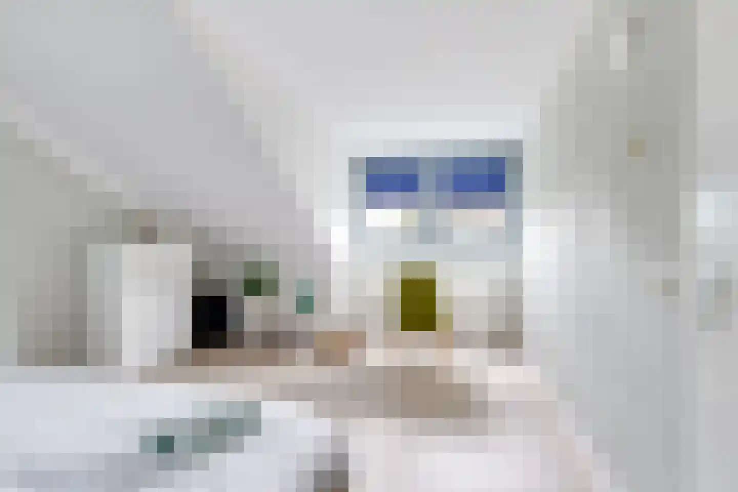 J.A. Rädeckerweg 87 Schoorl thumbnail 39
