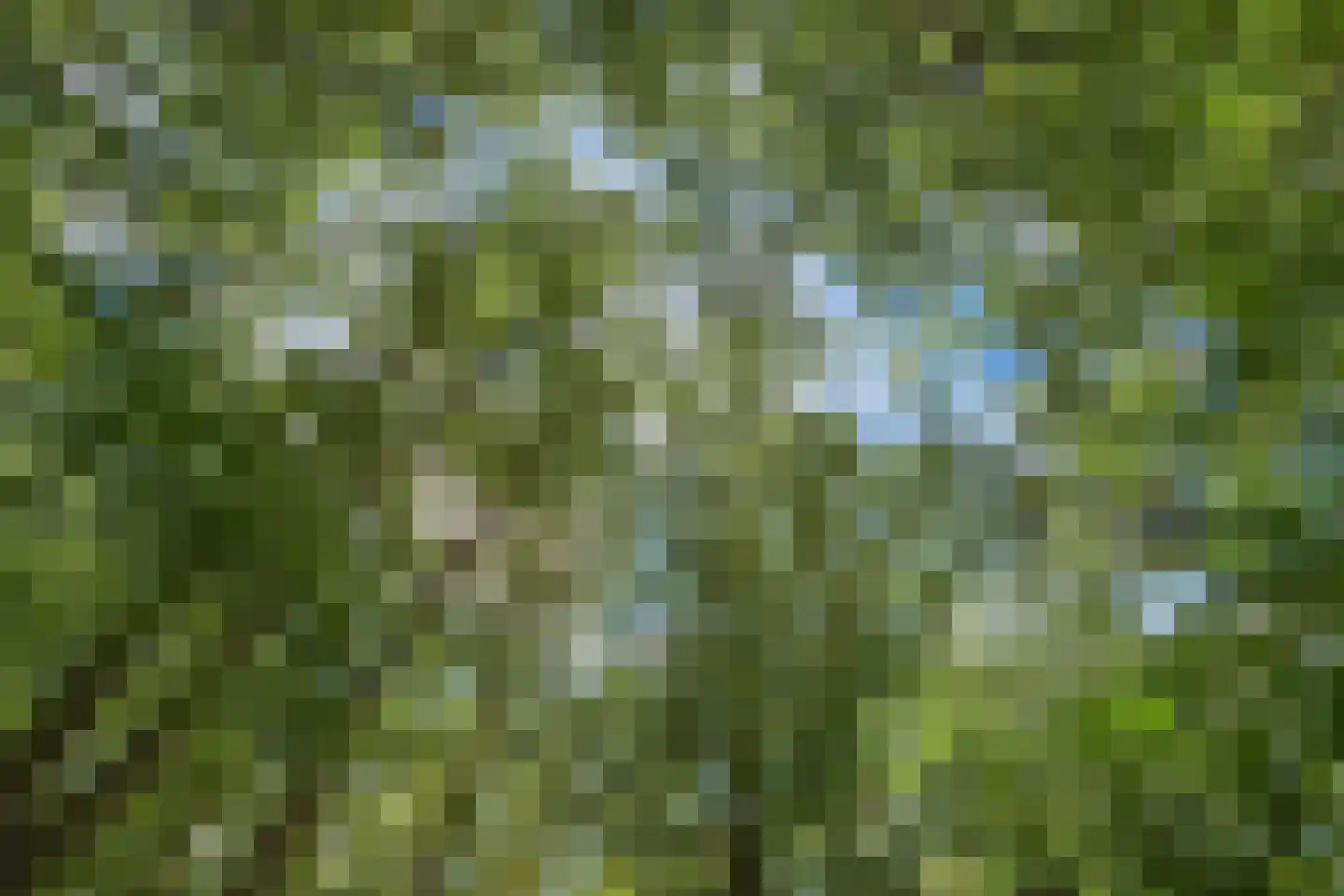 J.A. Rädeckerweg 87 Schoorl thumbnail 52