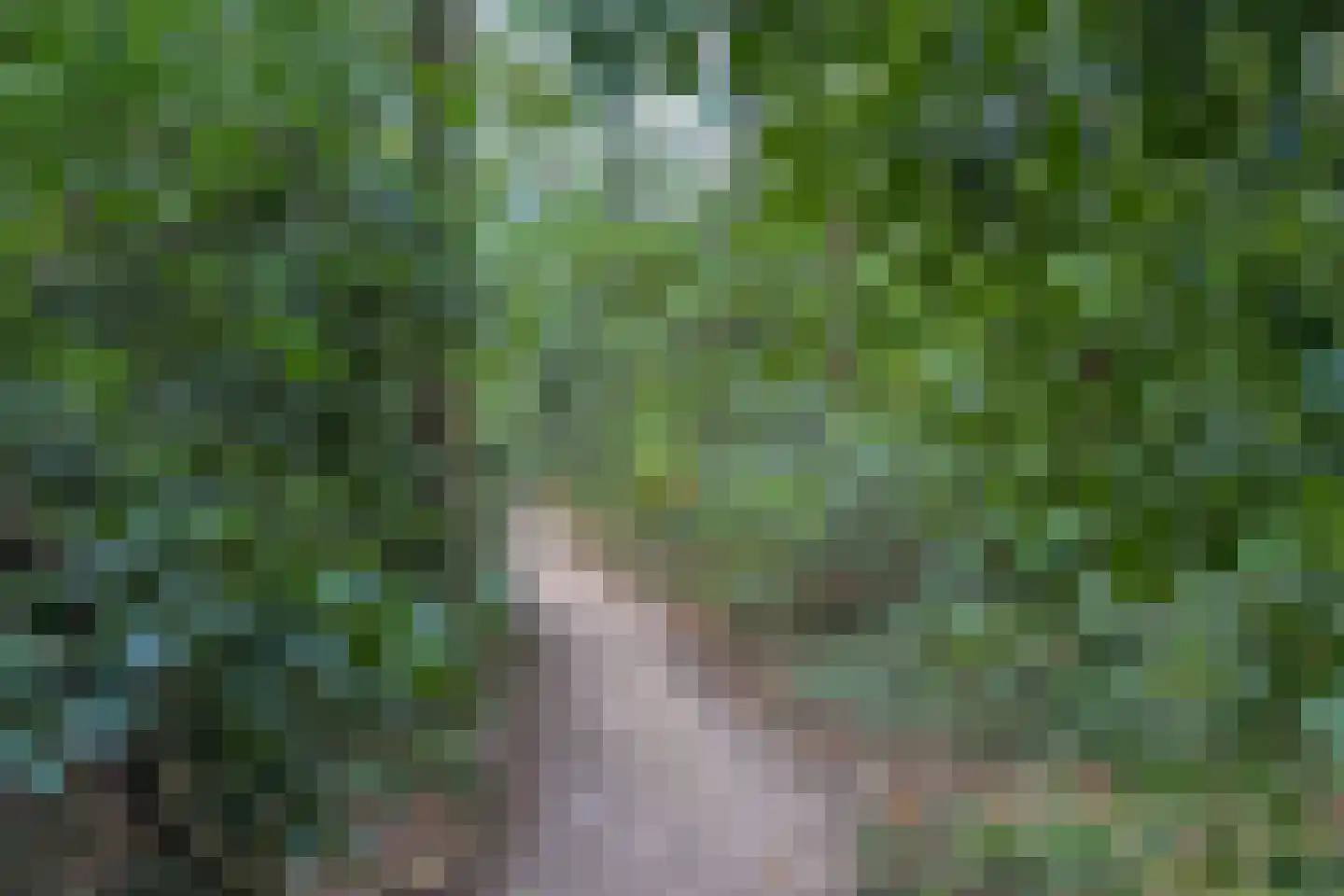 J.A. Rädeckerweg 87 Schoorl thumbnail 54