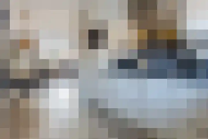 J.A. van Vurenstraat 4 Noordeloos thumbnail 15