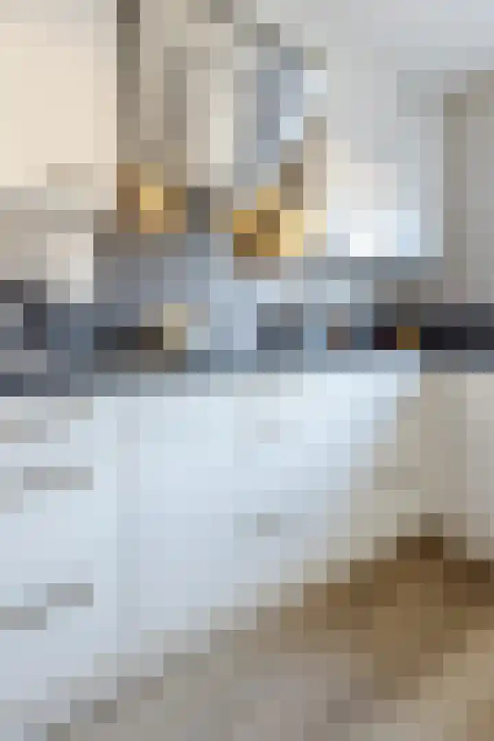 J.A. van Vurenstraat 4 Noordeloos thumbnail 17