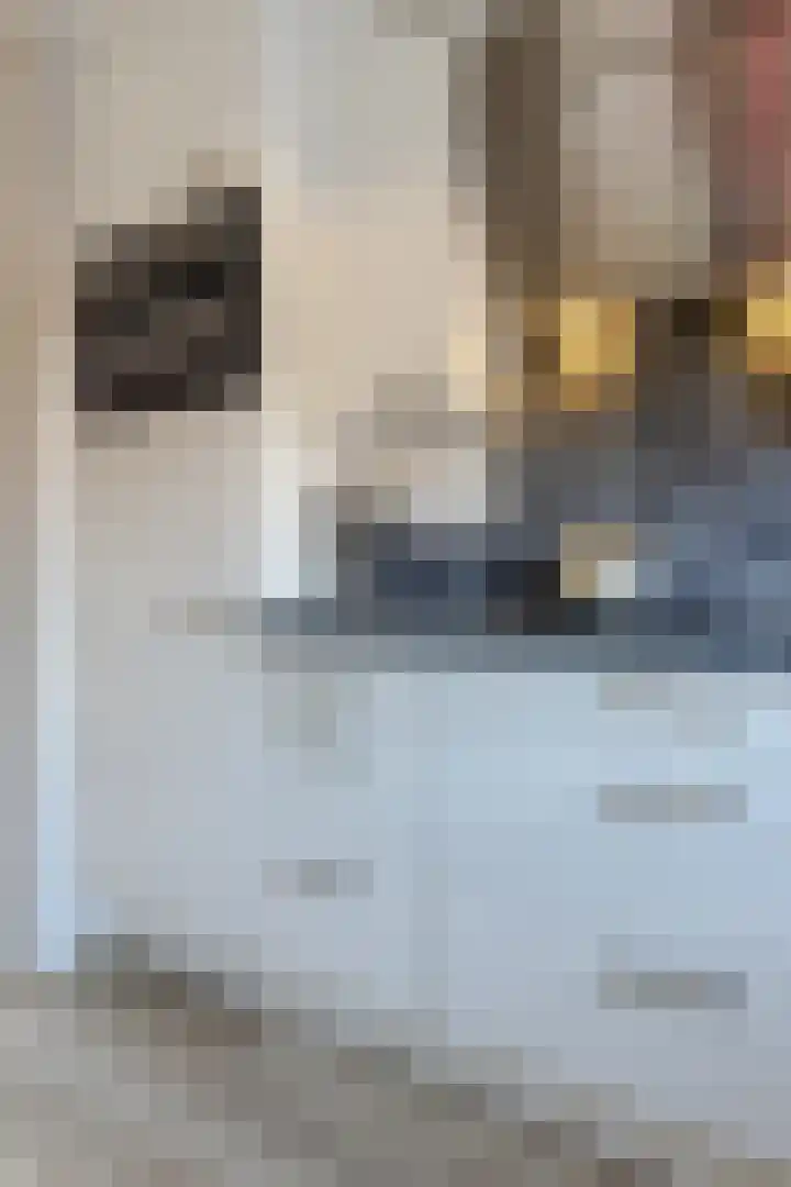J.A. van Vurenstraat 4 Noordeloos thumbnail 18