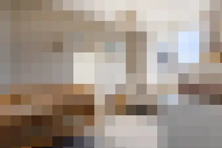 J.A. van Vurenstraat 4 Noordeloos thumbnail 22