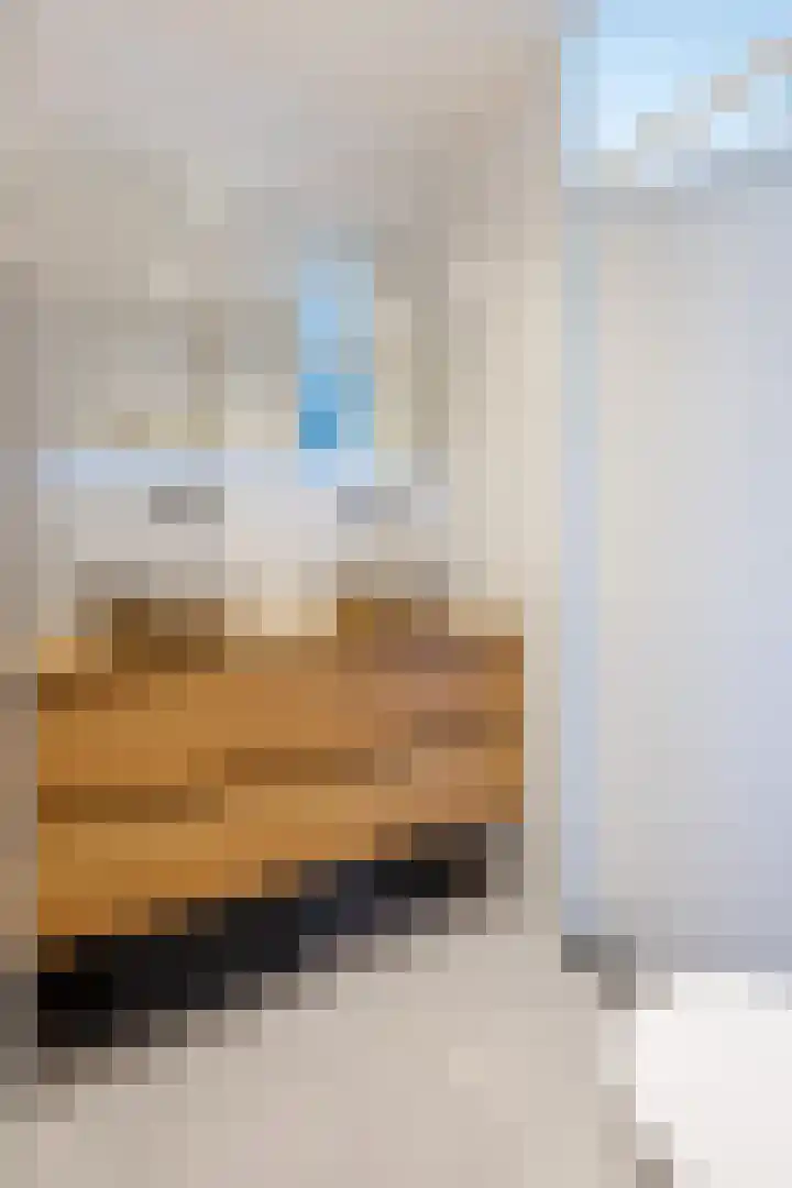 J.A. van Vurenstraat 4 Noordeloos thumbnail 28