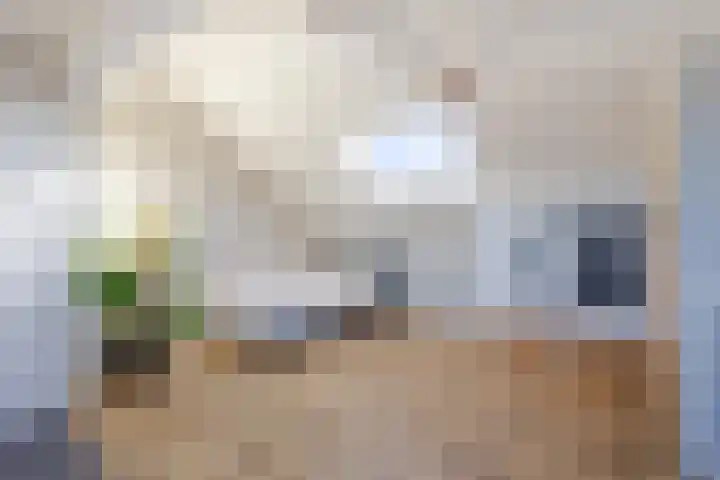 J.A. van Vurenstraat 4 Noordeloos thumbnail 31