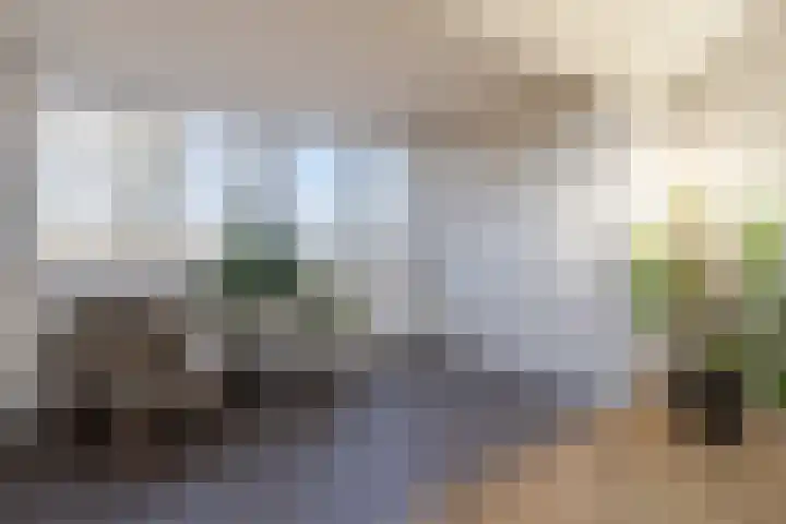J.A. van Vurenstraat 4 Noordeloos thumbnail 33