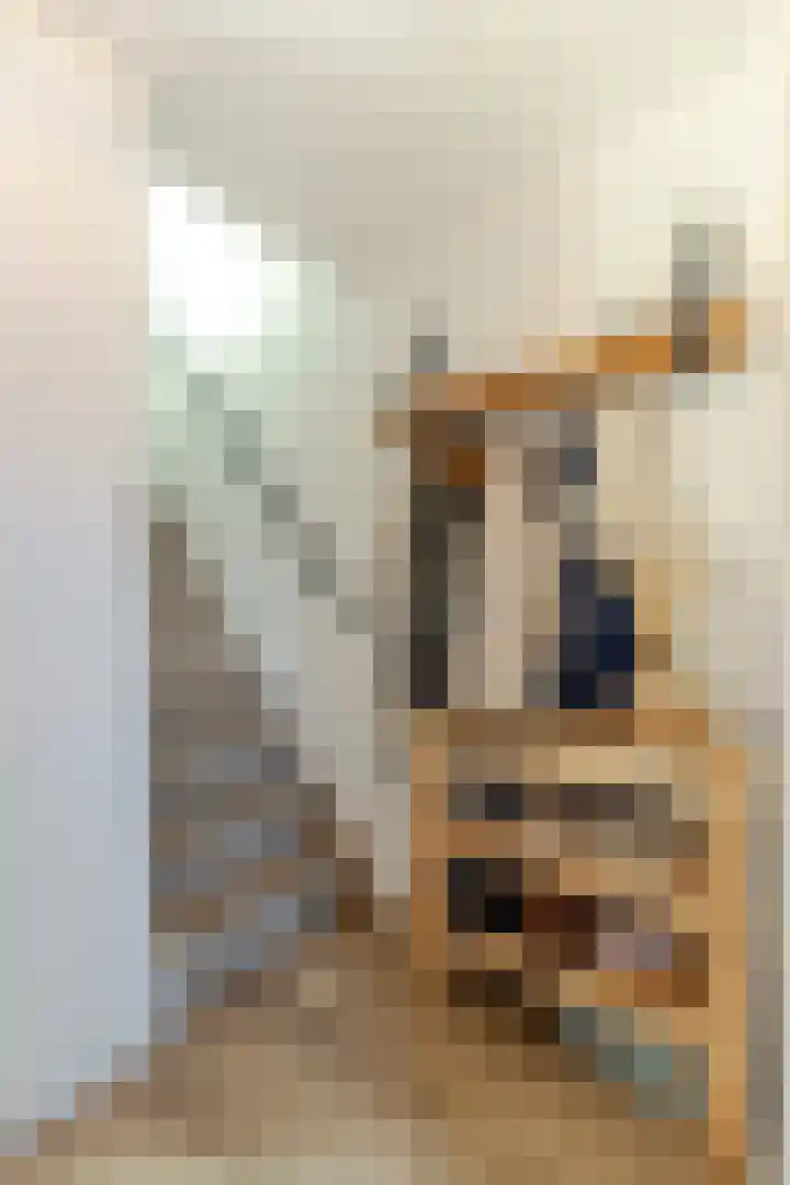 J.A. van Vurenstraat 4 Noordeloos thumbnail 8