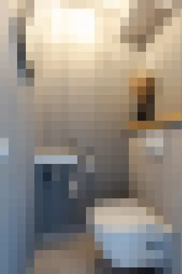 J.A. van Vurenstraat 4 Noordeloos thumbnail 9