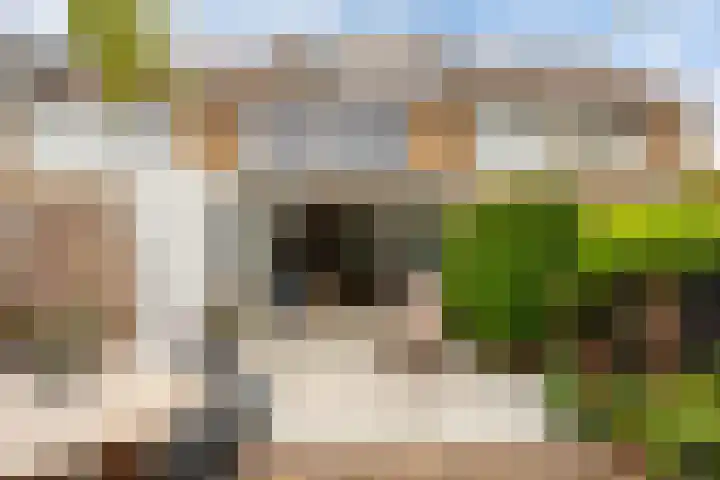J.A. Vermaasstraat 3 Oud-Beijerland thumbnail 41