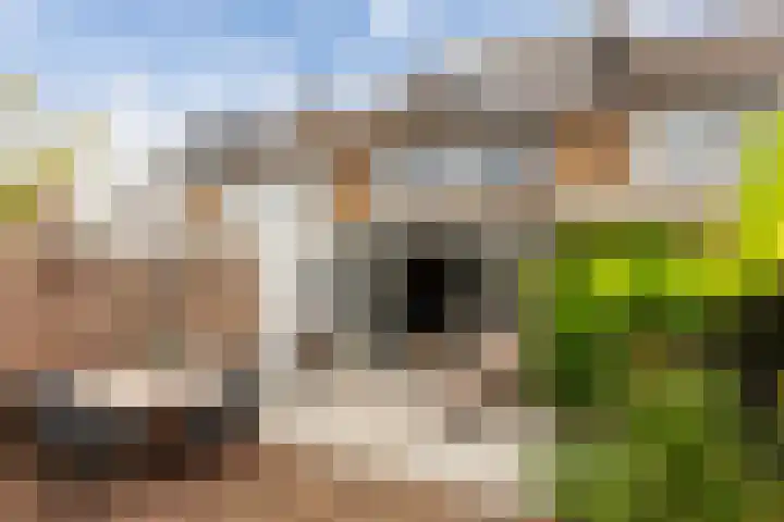 J.A. Vermaasstraat 3 Oud-Beijerland thumbnail 43