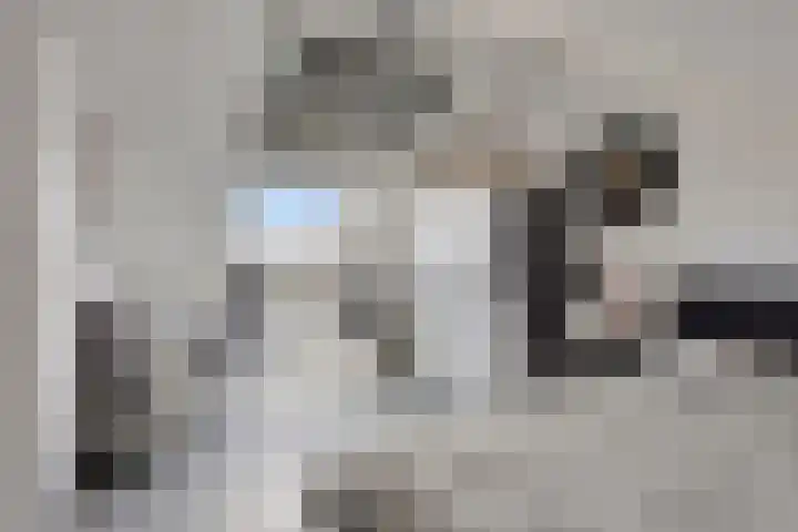 J.A. Zandlevenstraat 22 Zaandam thumbnail 33