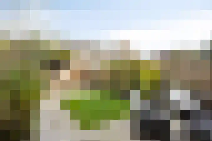 J.A. Zandlevenstraat 22 Zaandam thumbnail 36
