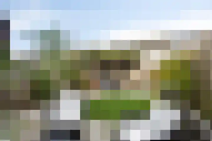 J.A. Zandlevenstraat 22 Zaandam thumbnail 37