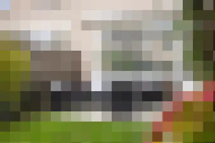 J.A. Zandlevenstraat 22 Zaandam thumbnail 38