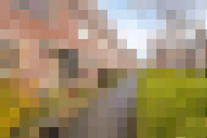 J.A. Zandlevenstraat 9 Zaandam thumbnail 5