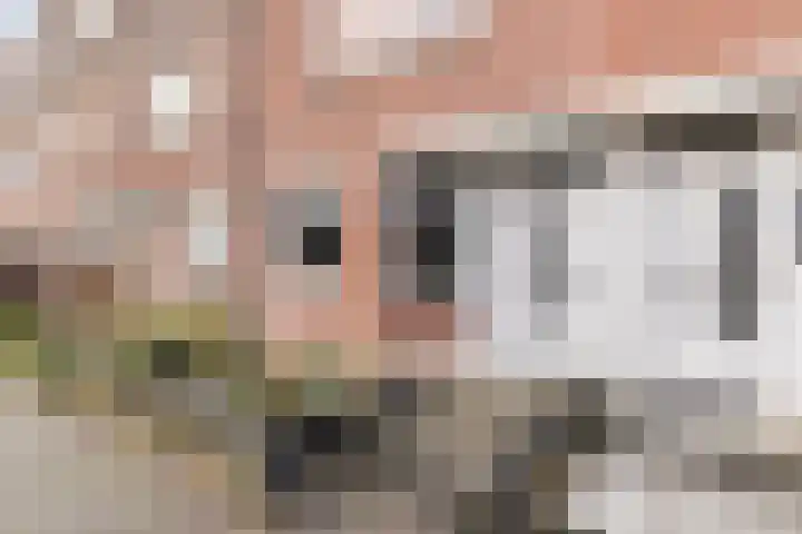 J.A. Zandlevenstraat 9 Zaandam thumbnail 6