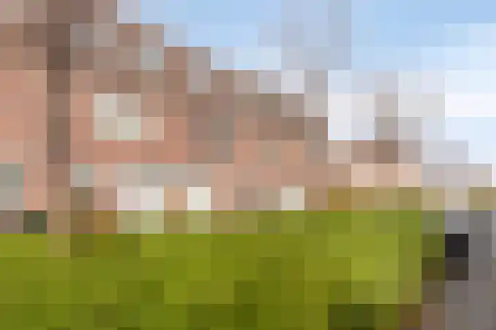 J.A. Zandlevenstraat 9 Zaandam thumbnail 7