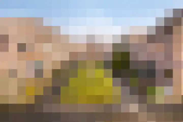J.A. Zandlevenstraat 9 Zaandam thumbnail 8