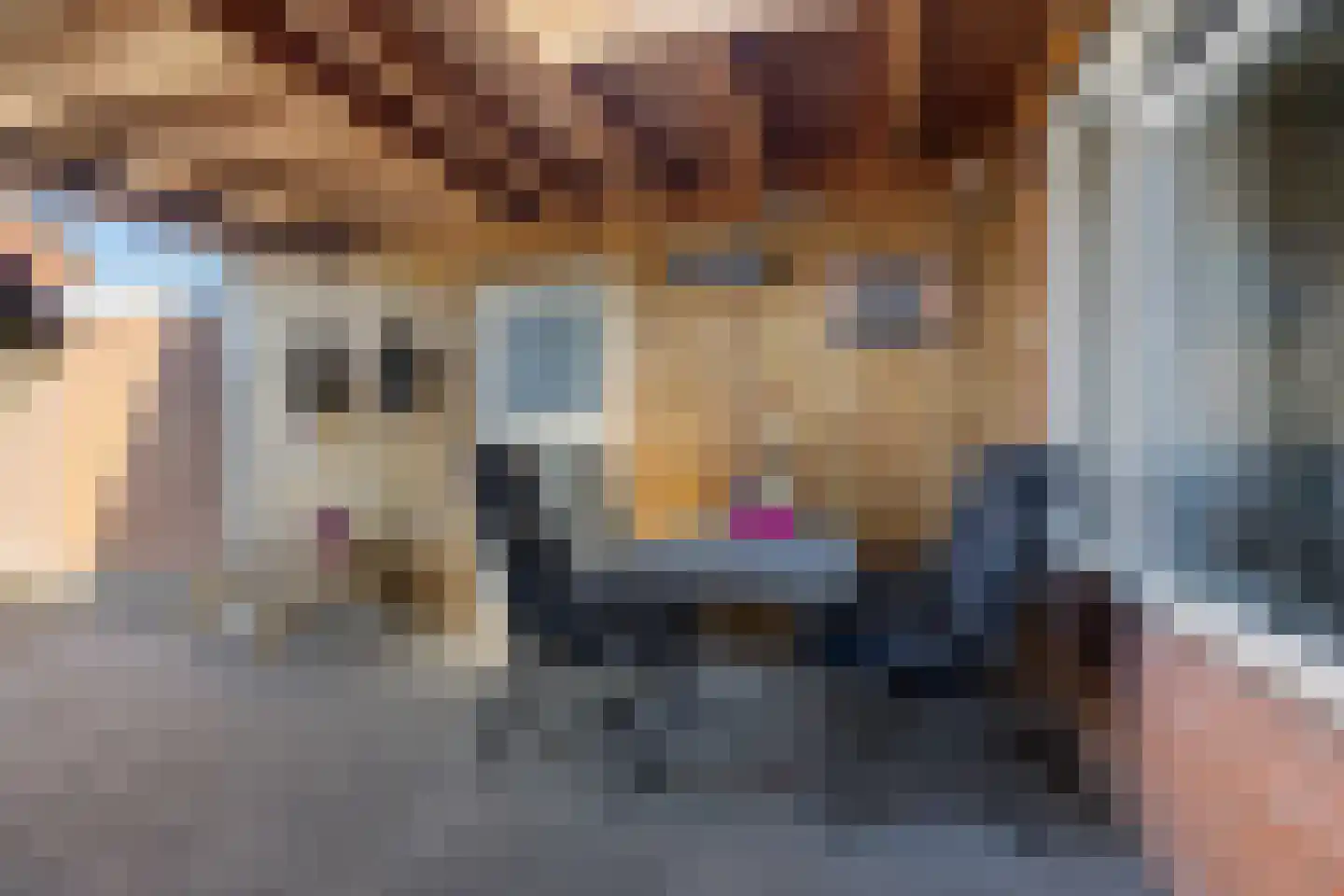 J. Abelnstraat 93 Emmer-Compascuum thumbnail 36