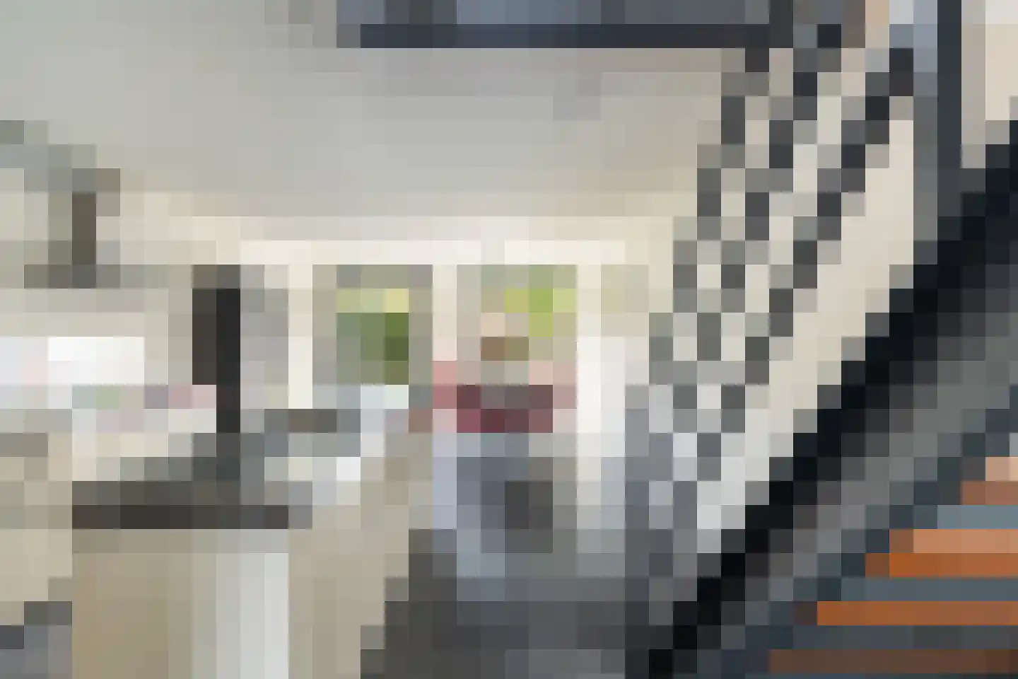 J.B. Bakemakade 106 Rotterdam thumbnail 16
