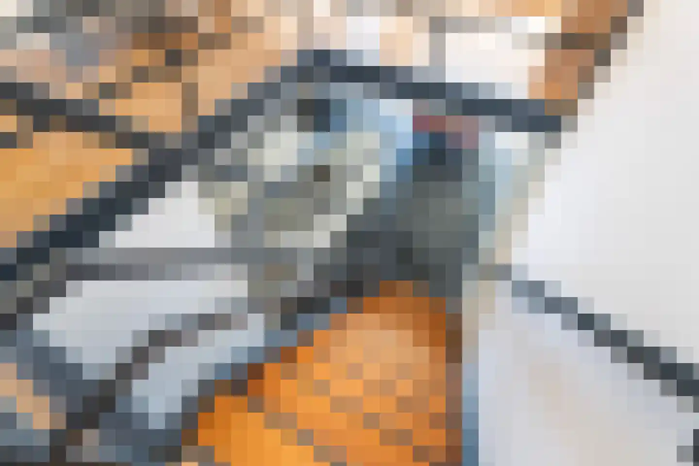 J.B. Bakemakade 106 Rotterdam thumbnail 22