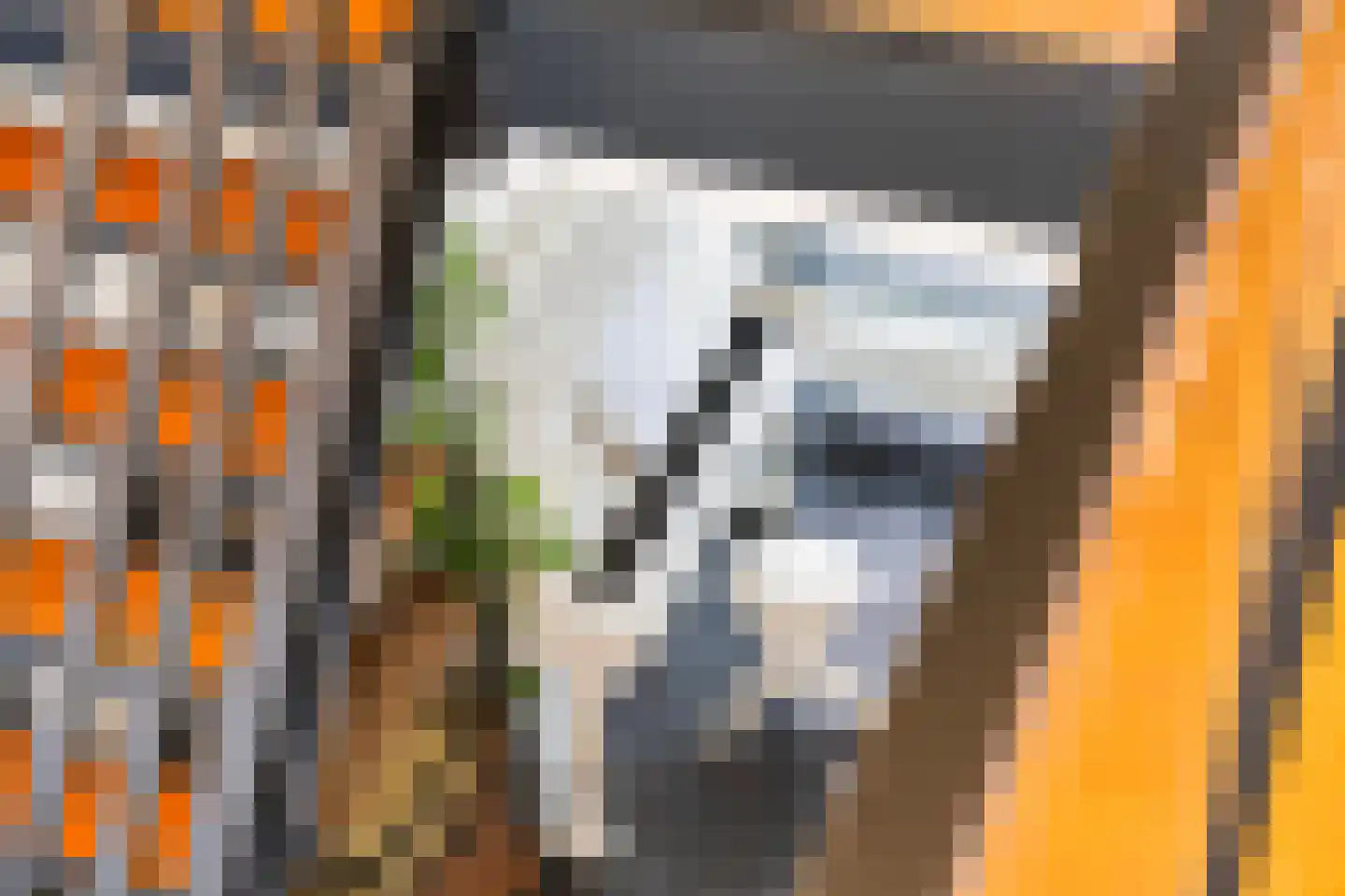 J.B. Bakemakade 106 Rotterdam thumbnail 27
