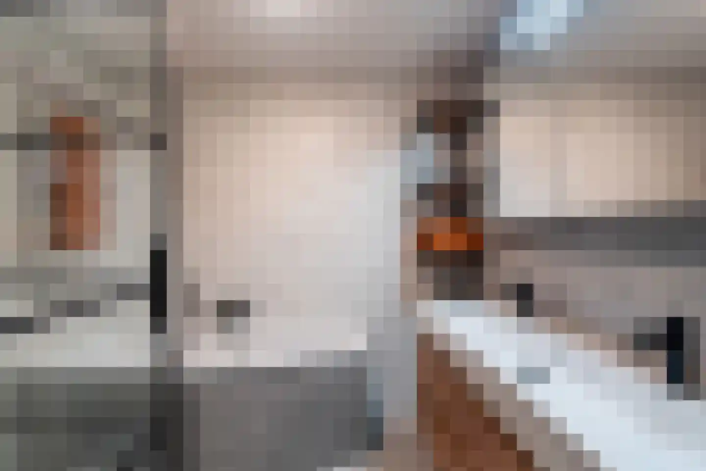 J.B. Bakemakade 106 Rotterdam thumbnail 44