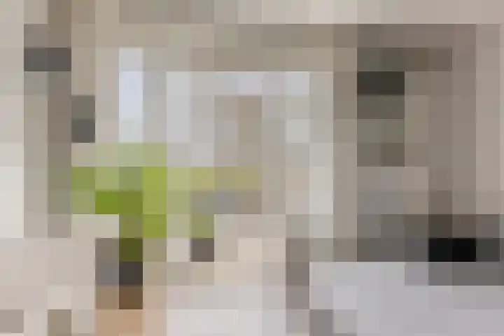 J.B. Bakemaweg 20 Almere thumbnail 6