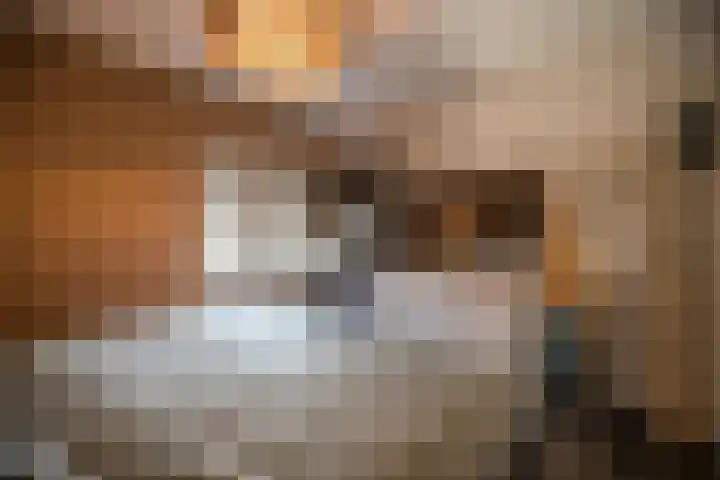 J.B. Berninklaan 29 Almelo thumbnail 22