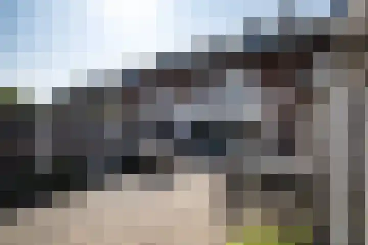 J.B. Berninklaan 29 Almelo thumbnail 28