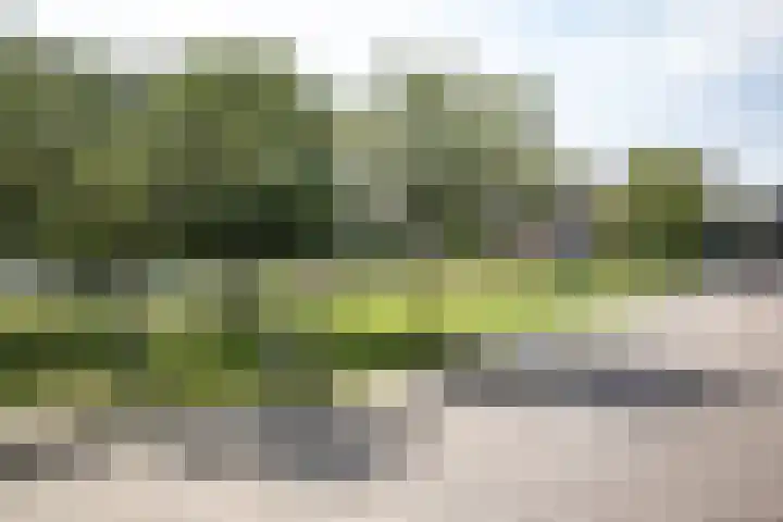 J.B. Berninklaan 29 Almelo thumbnail 29