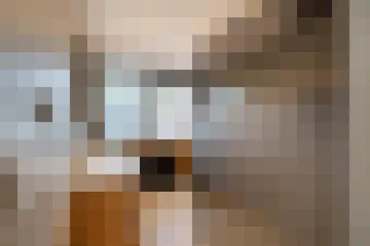 J.B. Berninklaan 32 Almelo thumbnail 15