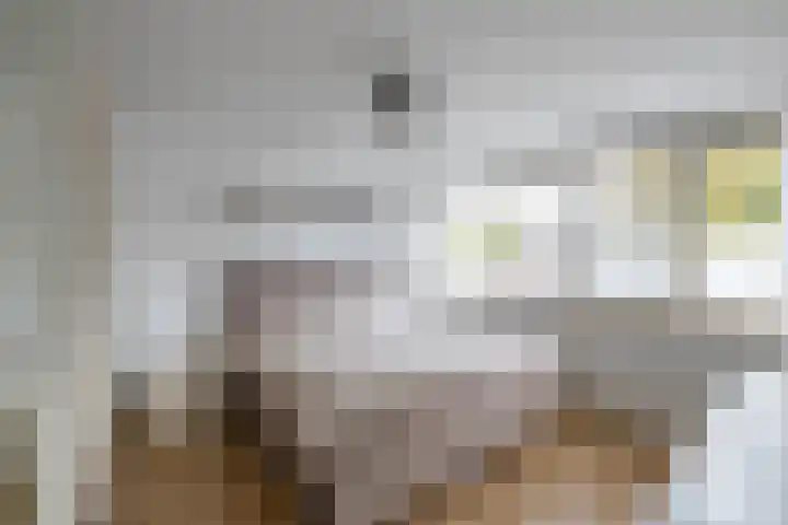 J.B. Berninklaan 32 Almelo thumbnail 17