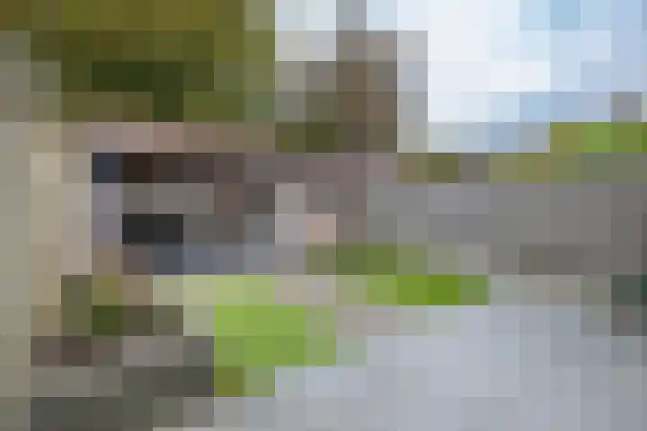 J.B. Berninklaan 32 Almelo thumbnail 24