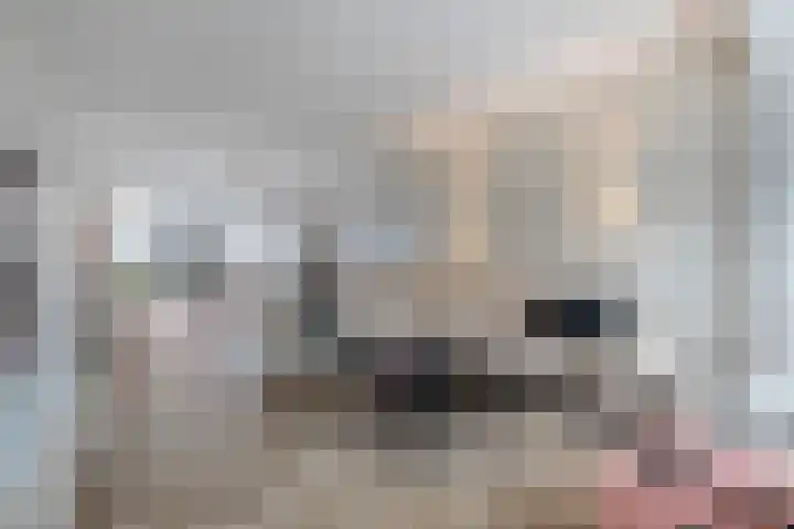 J.B. Berninklaan 32 Almelo thumbnail 4