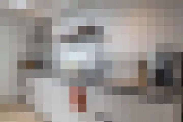 J.B. Berninklaan 32 Almelo thumbnail 7