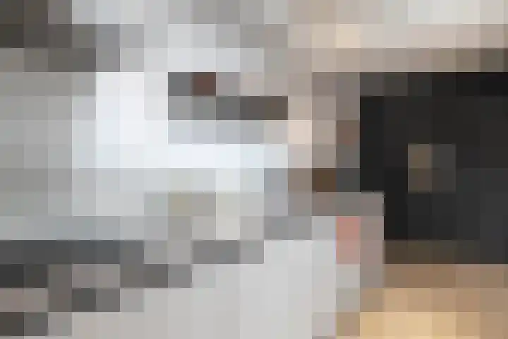 J.B. Berninklaan 32 Almelo thumbnail 8