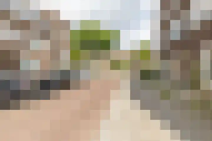 J. Baart de la Faillestraat 39 a Groningen thumbnail 30