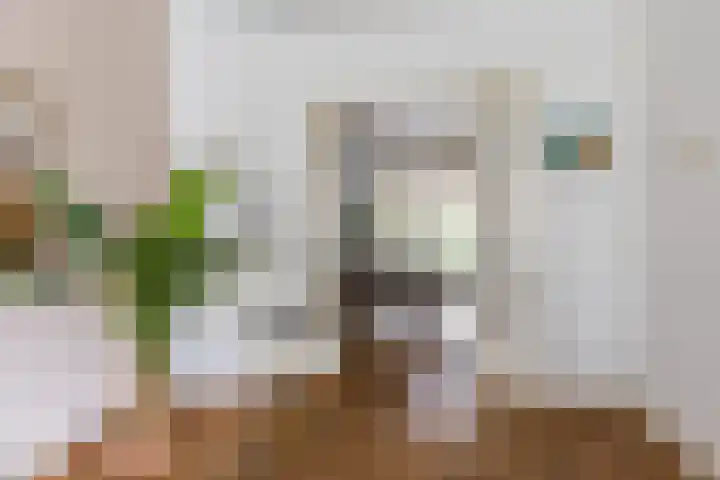 J. Baart de la Faillestraat 44 Groningen thumbnail 11
