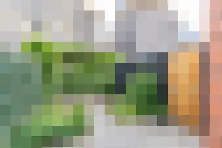J. Baart de la Faillestraat 44 Groningen thumbnail 24