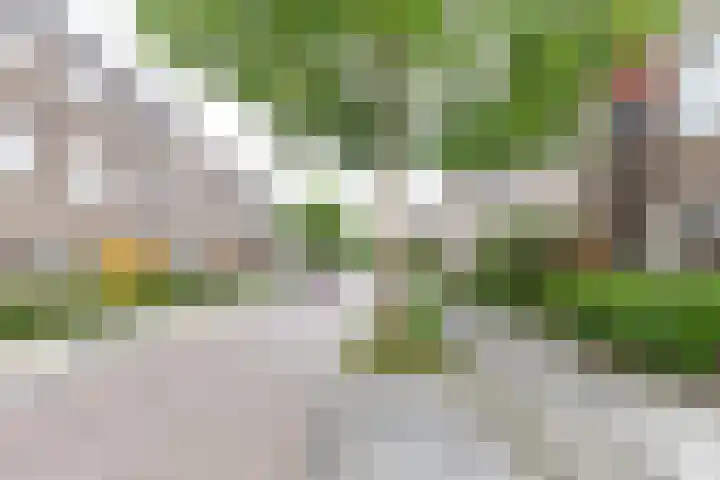 J. Baart de la Faillestraat 44 Groningen thumbnail 30
