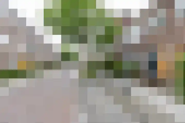J. Baart de la Faillestraat 44 Groningen thumbnail 31